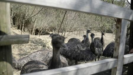 ���������һҳ