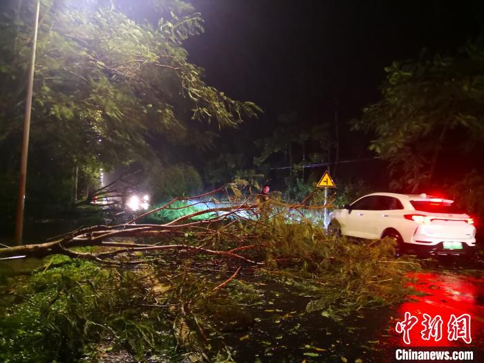 13�������Ӳ�����ͨ������������ʡ���ϣ��д�����ľ�������������� ��