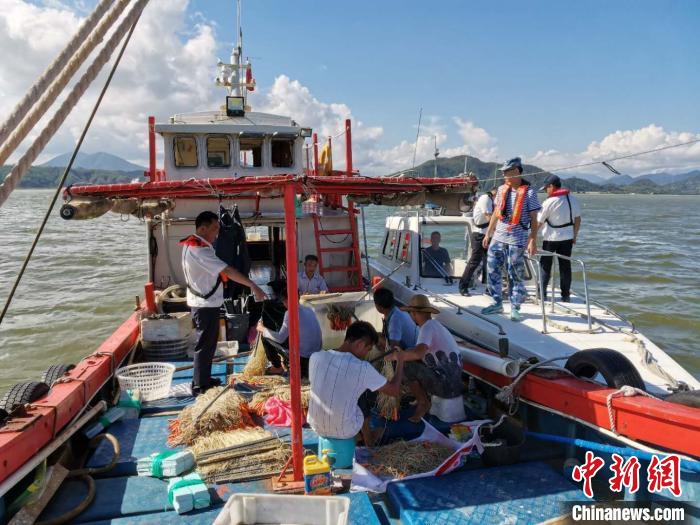 ִ���ֳ� ����� ��