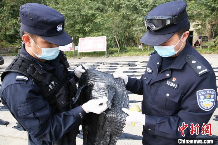 ���������һҳ