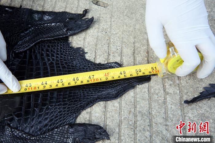 ���������һҳ