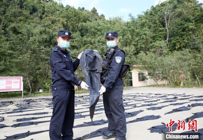 ���������һҳ