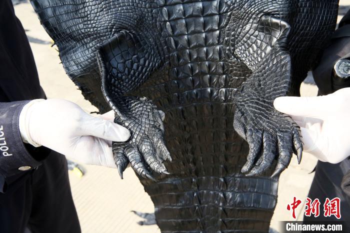 ���������һҳ