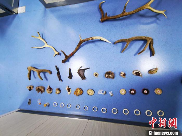 �ຣ�������������һ����������Ұ�����Ｐ����Ʒ��ǧ���