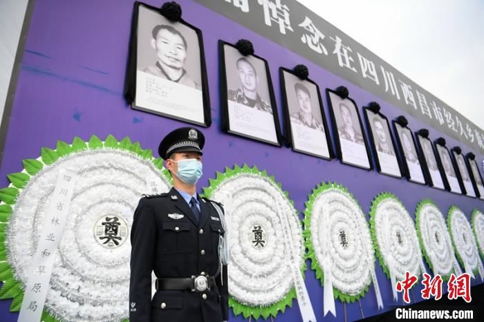 �Ĵ�������3��30��ɭ�ֻ���������Ա���չ�����¶���Ծȵ�ʧ��