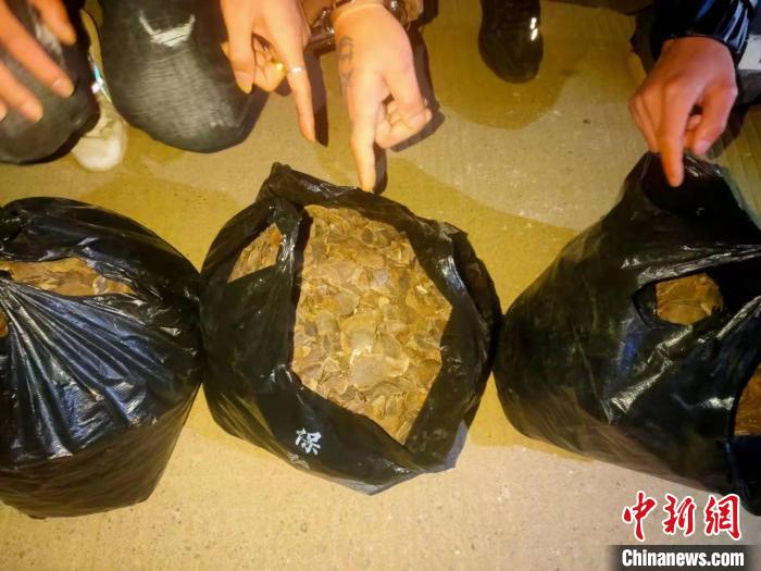 �������ݱ߾����վ���һ����ɽ����Ƭ������