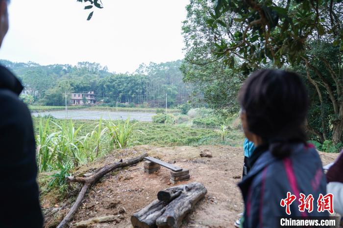 图为小燕子母亲陈礼言指着女儿遇害的竹林。 陈冠言 摄