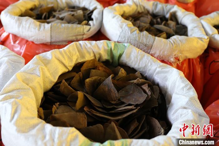 ͼΪ�永��ɽ����Ƭ�����������ع�ͼ ��