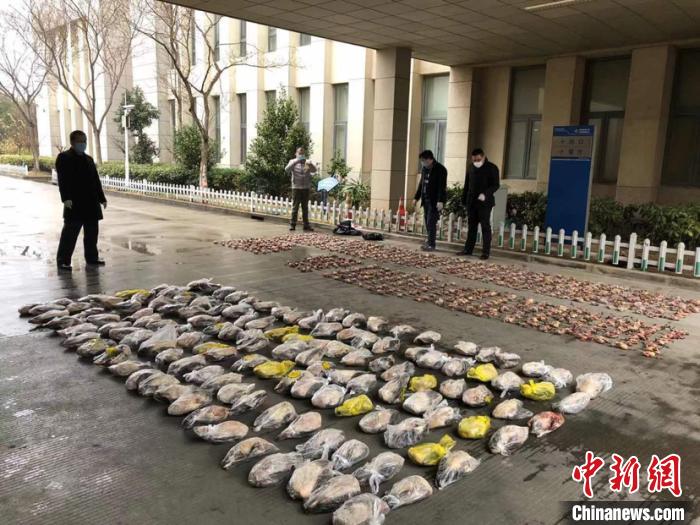 �Ϻ��������һ�Ƿ���������Ұ�����෸���Ż�ɻ�Ұ�������800ֻ