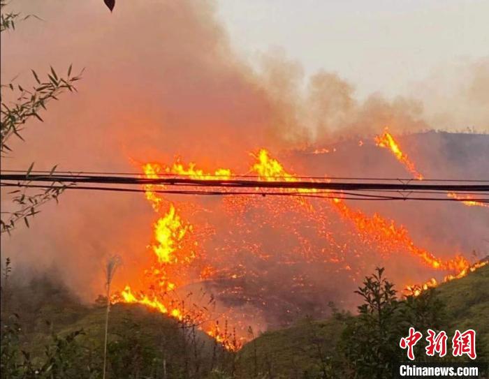 �㽭�������������ɭ�ֻ��ְ���33��