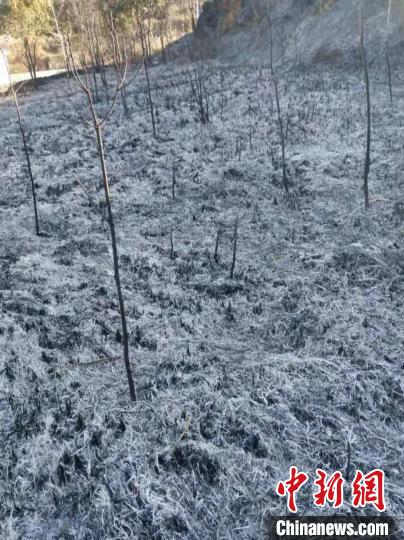 ���ٻٵ���䡣�㽭���� ��ͼ