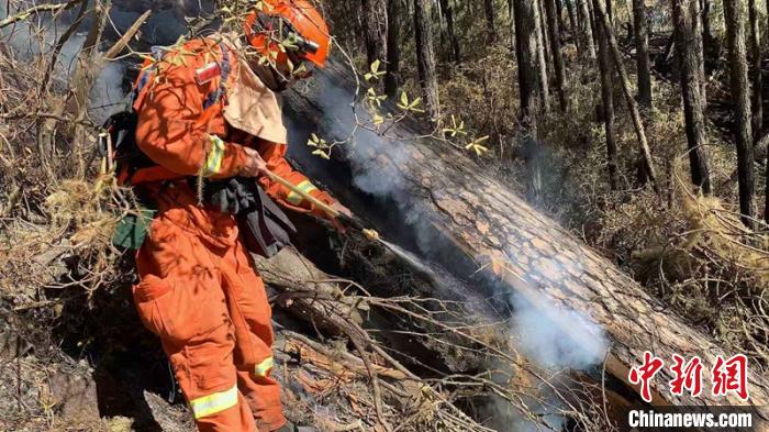 �Ĵ�������ѩ�������׻�������ɭ�ֻ���ȫ������