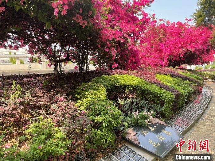 广州清明祭扫实行实名预约倡导错峰非现场祭扫