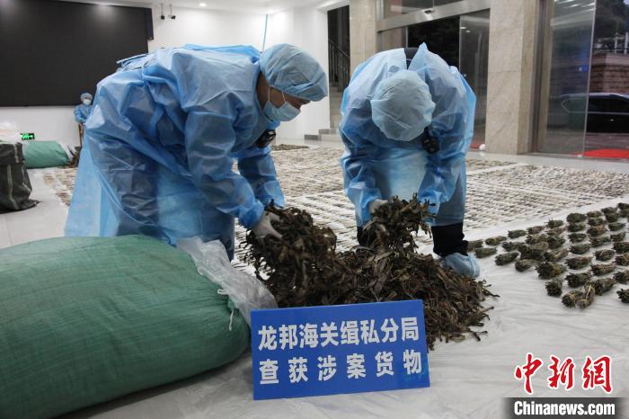 ͼΪ����永�����ɡ�����ϰ�� ��