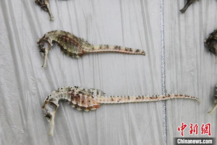 ͼΪ�永�����ɡ�����ϰ�� ��