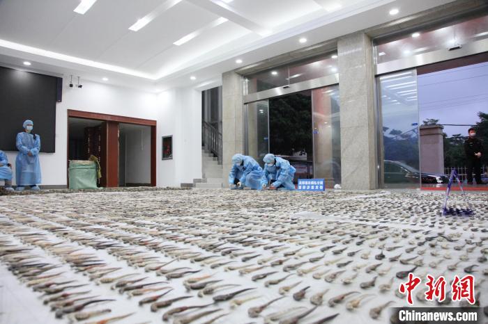 �������ز��������˽������7535β