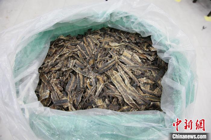 ͼΪ�永�����ɡ�����ϰ�� ��