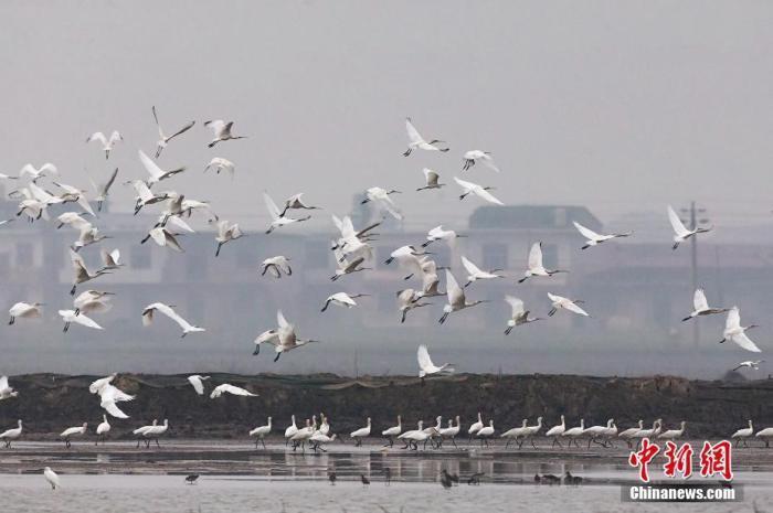 �ػ�۶������һ����ˮ����������������2846��