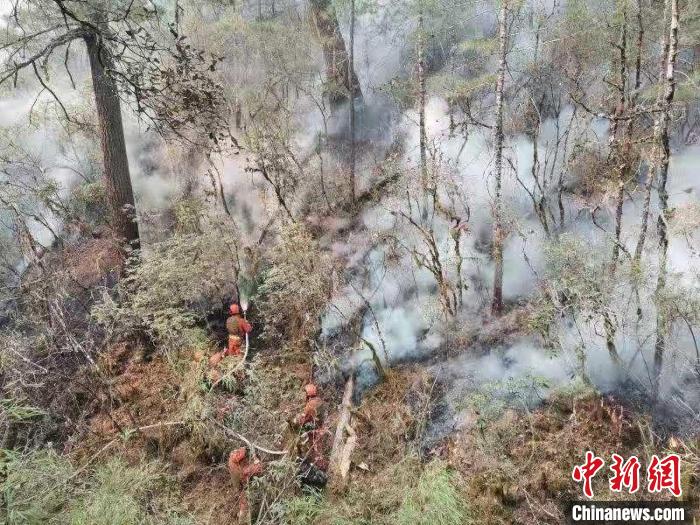 �Ĵ�ľ�ﲩ���硰4��5��ɭ�ֻ��ֳɹ�����