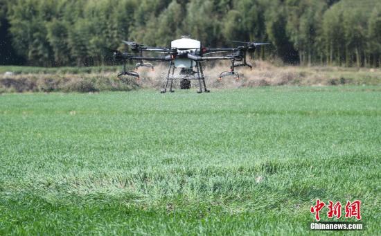 ����ͼ�����˻������ﲥ�����ϡ�<a target='_blank'  data-cke-saved-href='http://www.chinanews.com/' href='http://www.chinanews.com/'>������</a>���� ���� ��