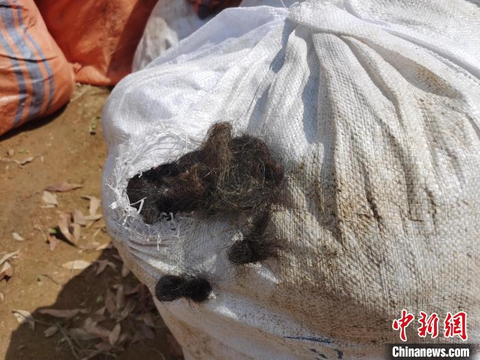 ͼΪ��۵�δ�����ӹ��������˷����������� ��