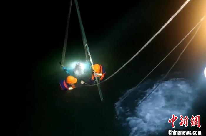 浙江临海救护瓜头鲸后续:5头死亡6头放生1头救治