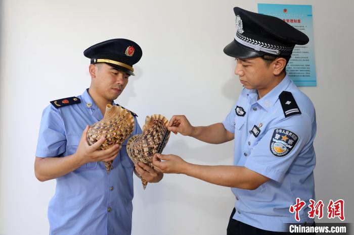 网上销售珍贵濒危野生动物警方跨江浙桂扫除产业链