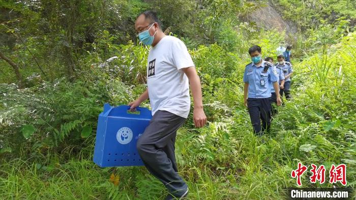 图为:清流县林业局与公安局等多部门将海南鳽护送至适宜生存处放生。 饶鸿海 摄