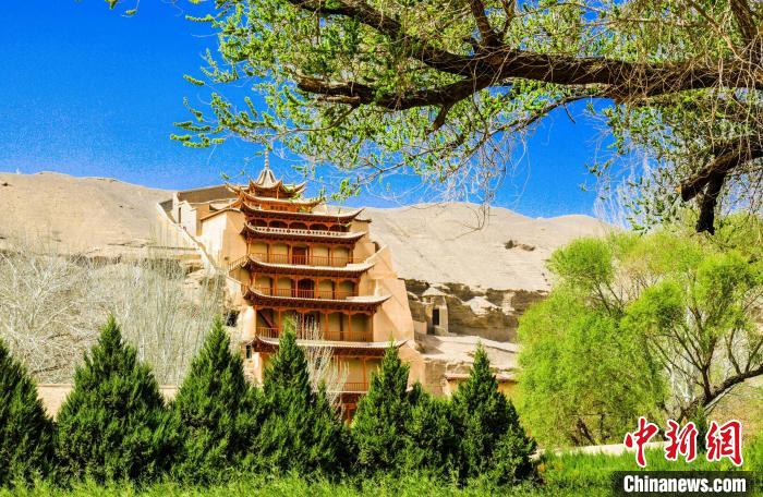 ����ػͼ췽���ٷ����ֶϴ���ֲ�Ѳ�����13������ľ