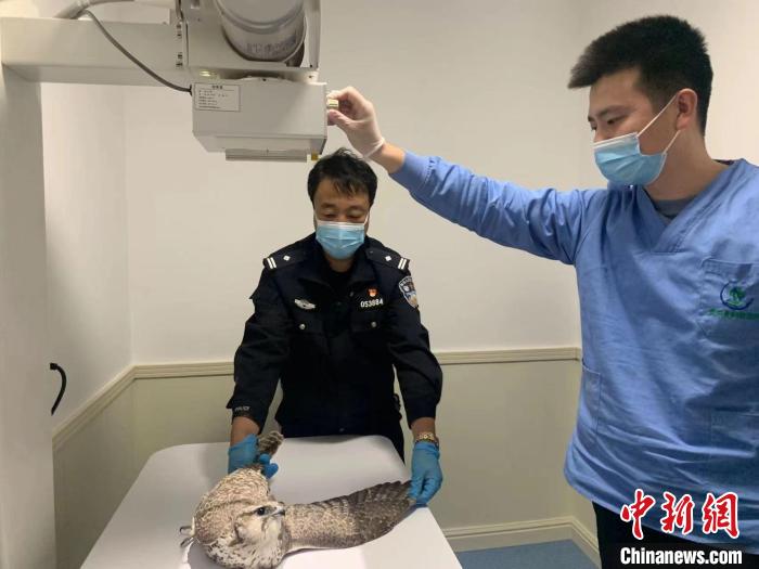 ͼΪ�񾯽���������ҽԺ���о��Ρ������Ŷ� ��