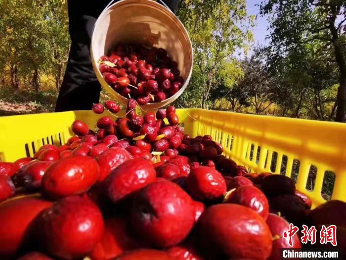 ����ػ͸ɺ���ͨ�������ϡ�����״γ��ں���