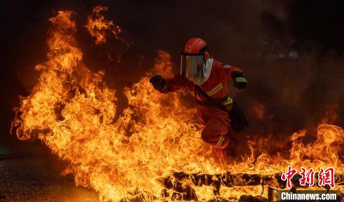 �Ƚ�װ���������Ĵ���չ2021��ɭ�ֲ�ԭ����Ӧ������