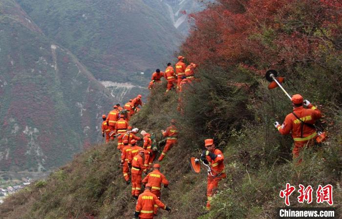 ����ɭ������Ա�ں��νϵ͵��������������������� ��