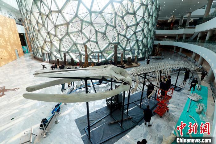 12��9�գ����뾨�����걾�����Ϻ���Ȼ����ݣ����������װ�������忡 ��