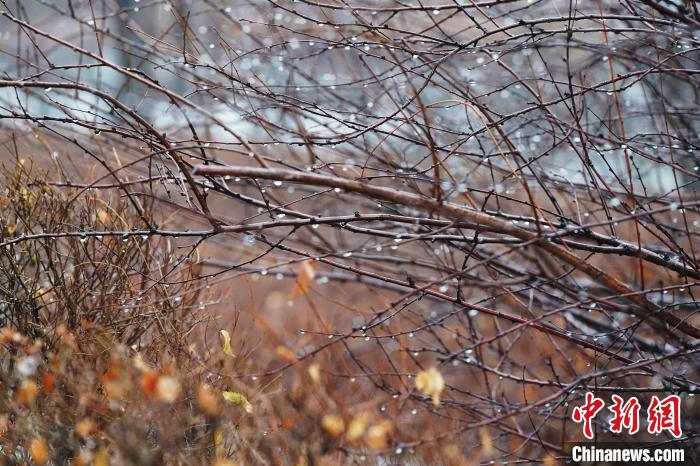 ���ǹ�����12�½���60�����ڰ˴�