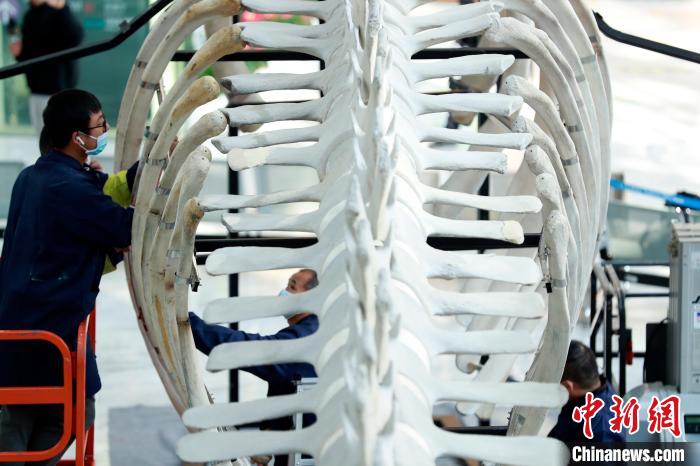 12��9�գ����뾨�����걾�����Ϻ���Ȼ����ݣ����������װ�������忡 ��