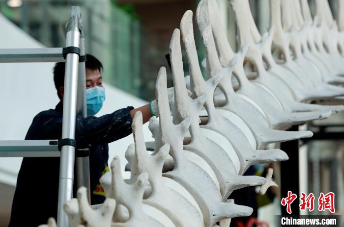 12��9�գ����뾨�����걾�����Ϻ���Ȼ����ݣ����������װ�������忡 ��