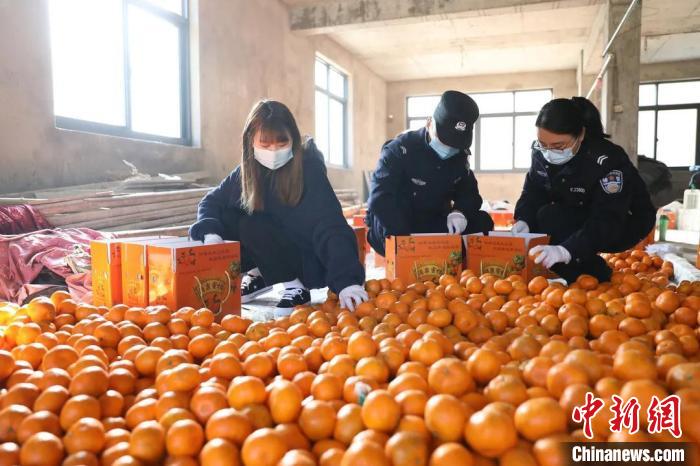 �㽭�ٺ���ũ��4000�����Ӹ�������Ա�������ǹ���ʱ������