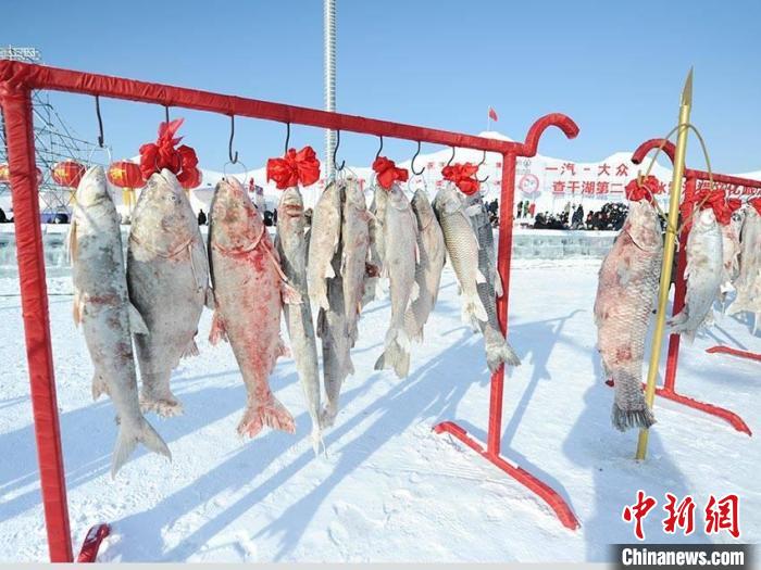 ���ֲ�ɺ�������Ļͷ���ĳ�2999999Ԫ