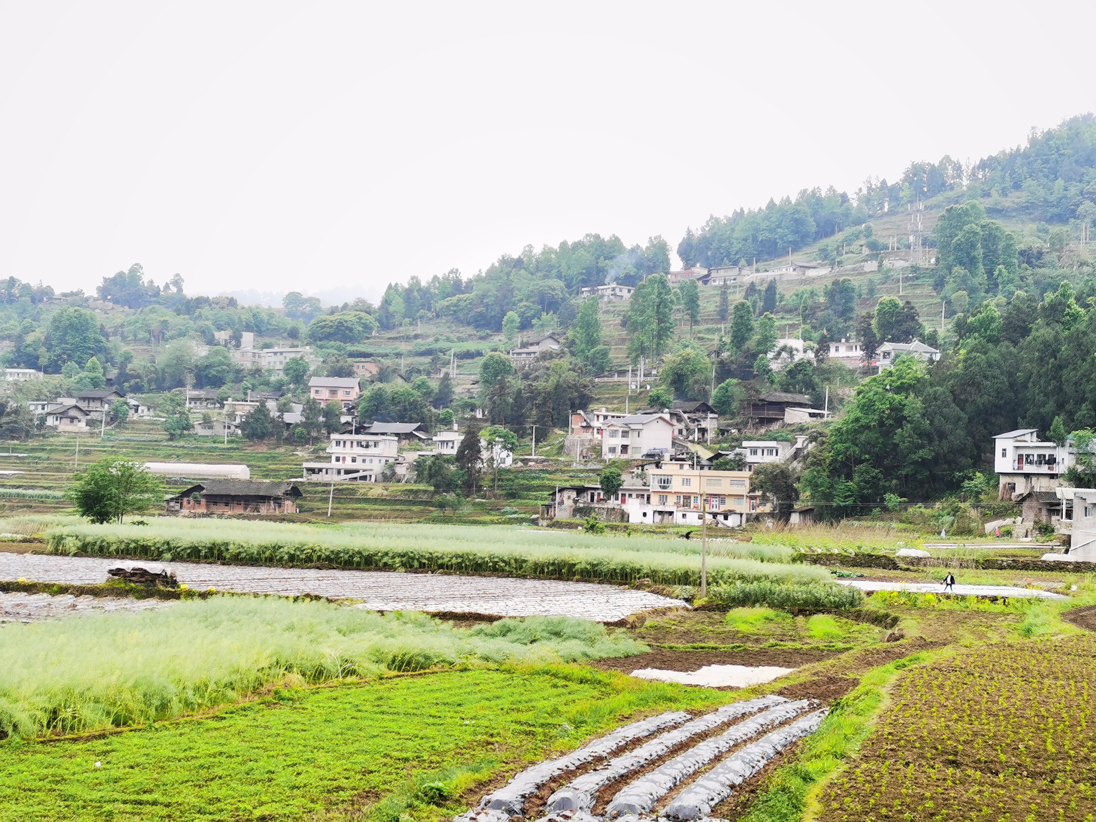 ���������һҳ