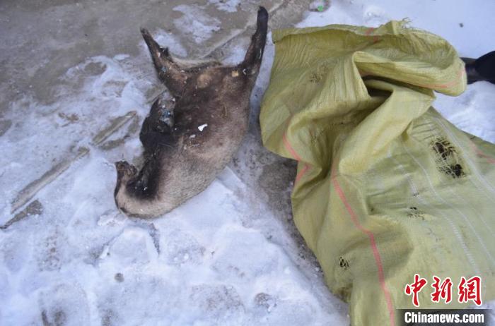 ���ֽ�ͳһ����3800����永Ұ�����Ｐ��Ʒ