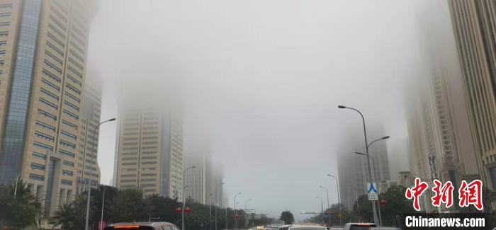 ���ݺ�Ͽ�͹�������ͣ��10�ա�11��ҹ�����������ϲ�