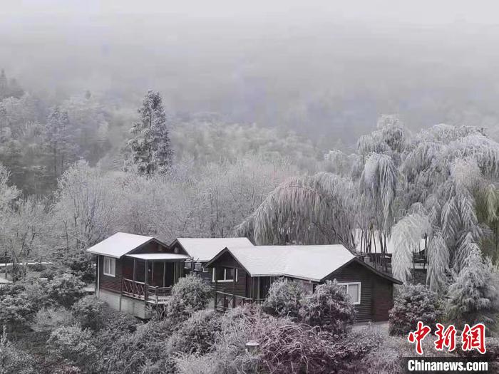 ������ط�����·�����ɫԤ��������˾��������