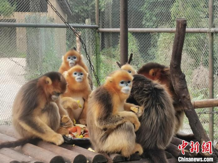 �Ĵ��Ű������ƻ�һ���ش�Σ����󡢱�ΣҰ�����ﰸ