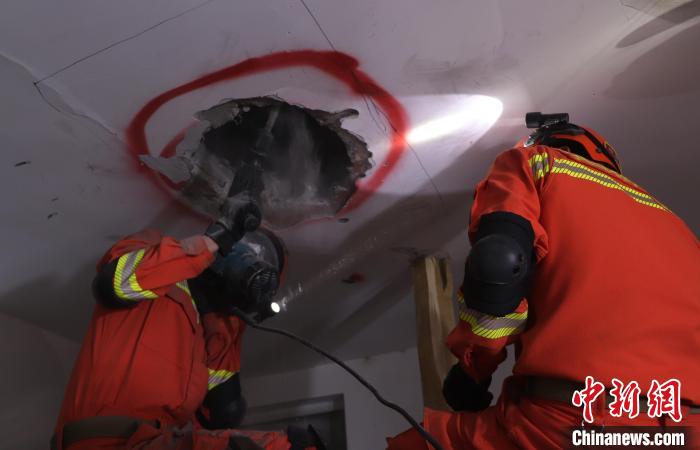 ����ɭ��������Ա�����Ʋ𡣡��￵�� ��