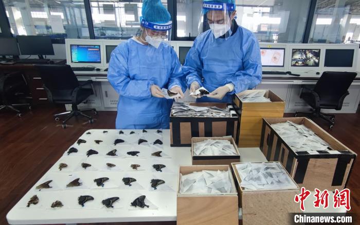 ֣�ݺ��ؽػ�5050ö�뾳�����걾