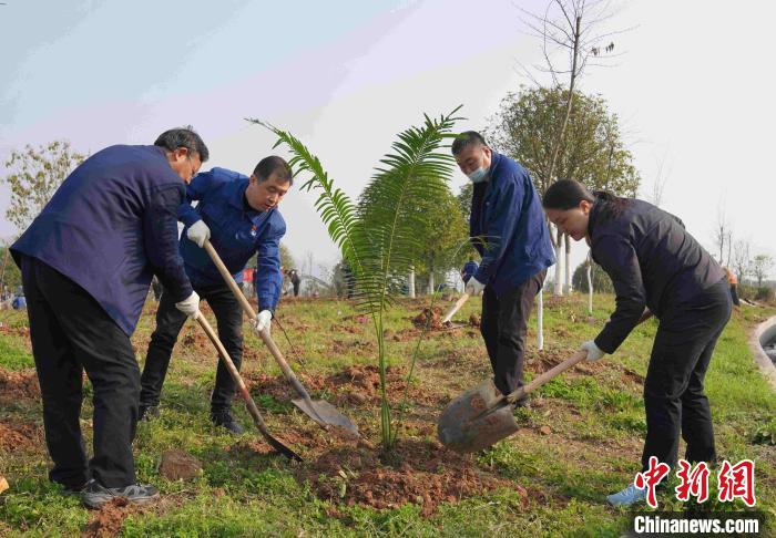 ������Ա�������硣��ë�贺 ��