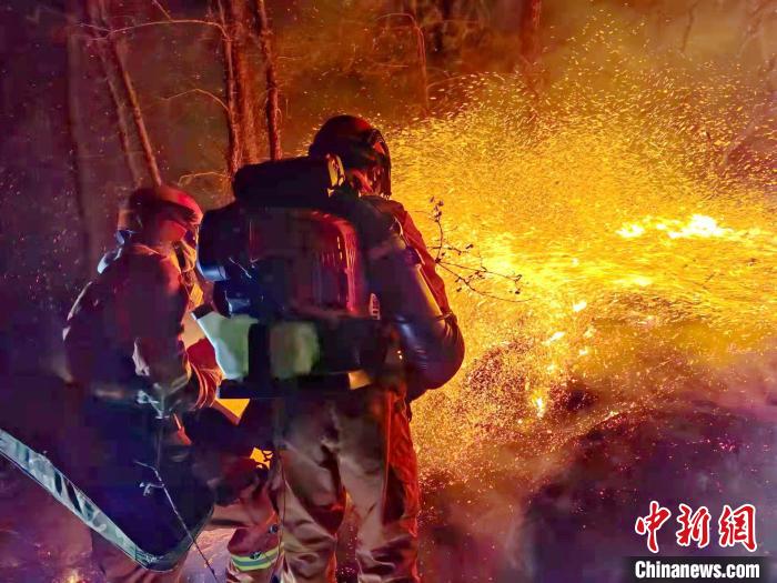 �㰲ɭ�ֻ��ֻ��ھ�Ԯ���������˴���𡣡������� ��