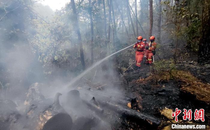 �Ĵ�����ɭ�ֲ�ԭ���ճ�ɫԤ���㰲ɭ�ֻ���������