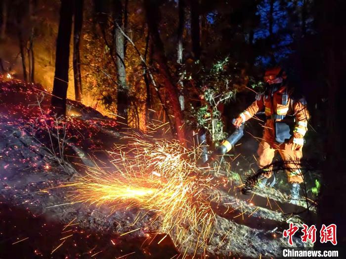 ��Ԯ���������˾ȹ㰲ɭ�ֻ��֡��������� ��